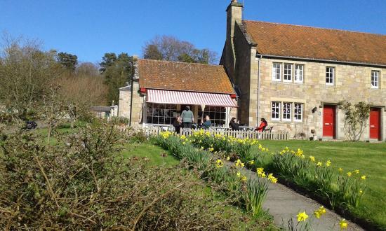 Ford Village shop and Post Office Tea Room