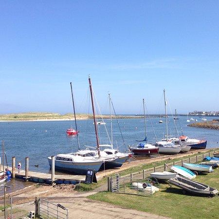 Coquet Yacht Club