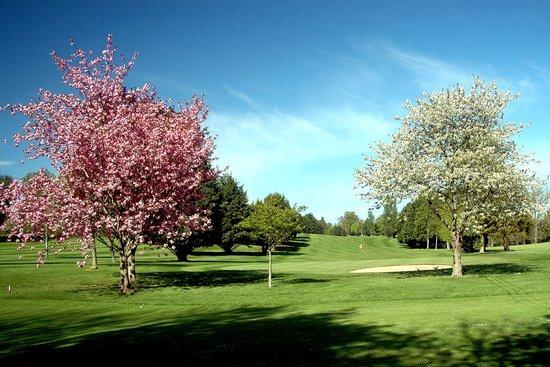The Hirsel Golf Club