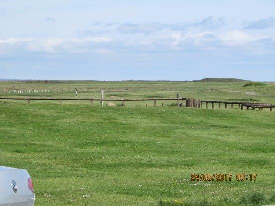 Newbiggin Golf Club