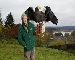Kielder Water Bird Of Prey Centre